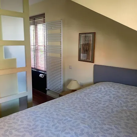 Spacious In The Center Of * אוסטנדה